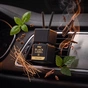 Ароматизатор для автомобиля Vitol Osvizhuvach povitrya VITOL Black Label Royal Wood II 8ml V230402 (V230402) - уменьшенное изображение 9