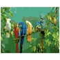 Картина по номерам Strateg Папуги на гілочці 40х50 см (SY6269) - зменшене зображення 1