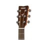 Гітара акустична Yamaha FS800 Tinted - зменшене зображення 3