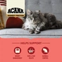 Сухий корм для кішок ACANA Highest Protein Indoor 4.5 кг (0064992723989) - зменшене зображення 6