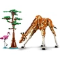 Конструктор LEGO Creator Дикі тварини сафарі 780 деталей (31150) - зменшене зображення 6