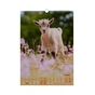 Календарь Buromax настенный А3 2027 год, 1 пружина, Cute goat (BM.210601) - уменьшенное изображение 9