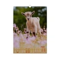 Календар Buromax настінний А3 2027 рік, 1 пружина, Cute goat (BM.210601) - зменшене зображення 9