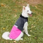 Попона для тварин Pet Fashion ROY XL малиново-сіра (4823082432929) - зменшене зображення 8