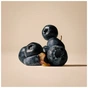 Ласощі для котів Carnilove Soft Snack Buffallo with Blueberries 50 г (8595602582563) - зменшене зображення 3