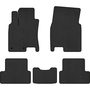 Килимок в салон EVAtech Nissan Qashqai (J10) 2006-2013 1 покоління (NS3393C5RN2RBB) зображення 1