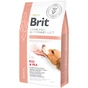 Сухий корм для собак Brit GF VetDiets Dog Renal 2 кг (8595602528196) - зменшене зображення 1