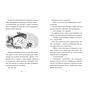 Книга Зік - погодний ґік. Порятунок ящірки від хуртовини - Джоан Аксельрод-Контрада, Енн Маласпіна Видавництво Старого Лева (9789664483510) - зменшене зображення 4