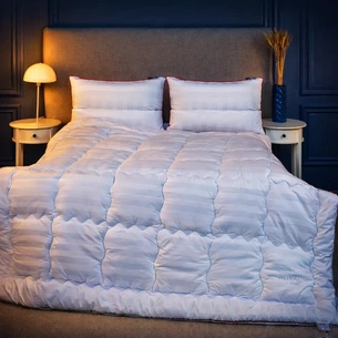 Ковдра MirSon Набір 9557 Royal Pearl Hand Made Ковдра всесезонна Євро 200х220 Wool + Дві подушки 50х70 (2200010806212) зображення 1