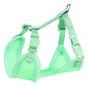 Шлея для собак Trixie з повідцем для цуценят S–M 26–34 см 10 мм м' ятна (4011905155654) - preview 1