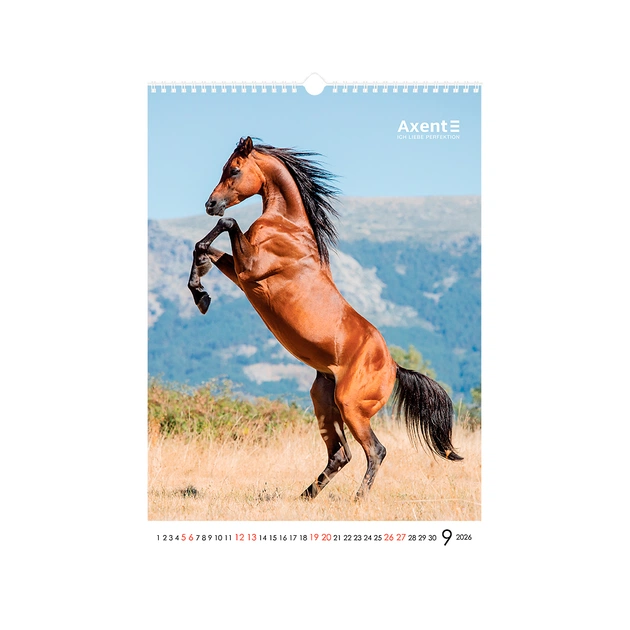 Календар Axent настінний А3 2026 р. Horses (8804-26-3-A) - изображение 10