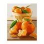 Картина по номерам Strateg Мандарини 2 40х50 см (VA-2860) - зменшене зображення 1