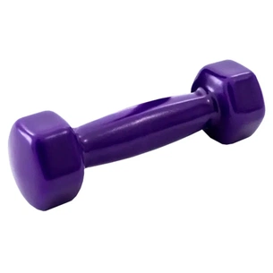 Гантель X-TREME 2,5 кг (117245) зображення 1