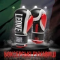 Боксерські рукавички Leone GN333 Logo WACS Black 12 унцій (GN333_Black_12oz) - зменшене зображення 2