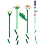 Конструктор LEGO Botanicals Ромашки (11508) - зменшене зображення 6