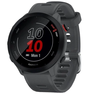 Смарт-годинник Garmin Forerunner 55, Monterra Grey (010-02562-13) зображення 1