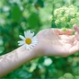 Гігієнічні прокладки Naturella Ultra Normal 10 шт (4015400125037) - зменшене зображення 6