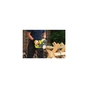 Ланцюгова пила Ryobi ONE+ RY18CS20A-0, 18В (без АКБ та ЗП) (5133005414) - зменшене зображення 9