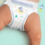 Підгузки Pampers трусики нічні Night Pants Розмір 5 (12-17кг) (8006540234730) - зменшене зображення 7