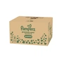 Підгузки Pampers Premium Care Pants Розмір 3 (6-11 кг) 114 шт (8006530320184) - зменшене зображення 2
