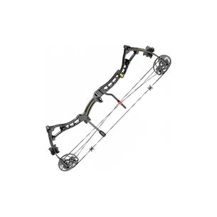 Лук Poe Lang Axis 30-70 LBS Black (C0-039B) зображення 1