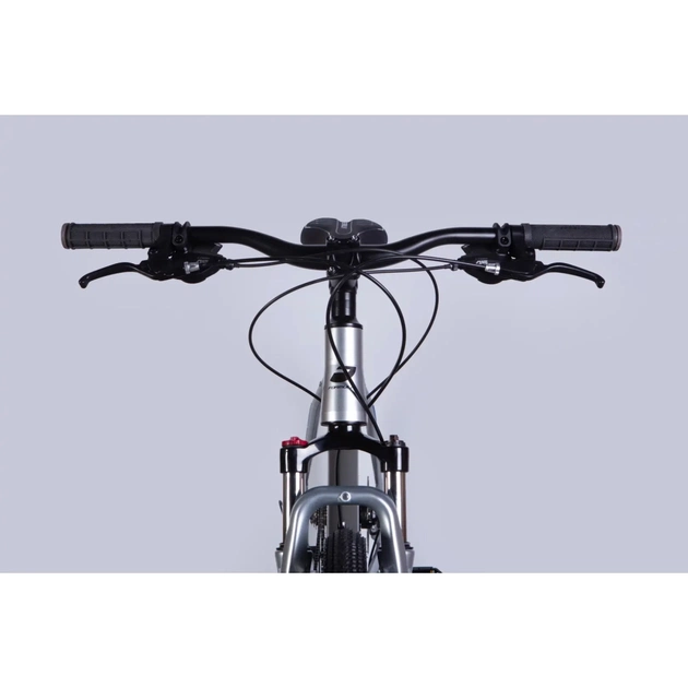 Велосипед Formula 29" ZEPHYR 3.0 DD CS рама-21" AL 2026 срiблястий (OPS-FR-29-446) - изображение 6