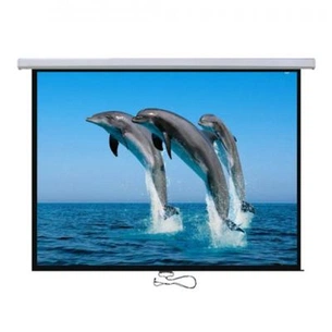 Проекційний екран Logan PRMC5 зображення 1