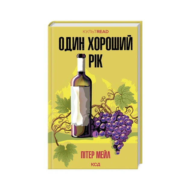 Книга Один хороший рік - Пітер Мейл КСД (9786171508767) - зображення 1