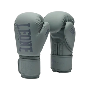 Боксерские перчатки Leone GN058 Tone X Light grey 12 oz (GN058_Light_grey_12oz) изображение 1