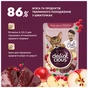 Влажный корм для кошек Delickcious печень с яблоками и клюквой 85 г (4820269147034) - уменьшенное изображение 3