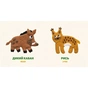 Книга Лісові звірі / Forest animals - Олена Забара Видавництво Старого Лева (9786176793175) - зменшене зображення 3