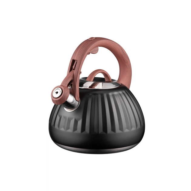 Чайник Ardesto Gemini 2.5 л Чорний (AR1958KS) - picture 1