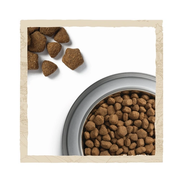 Сухий корм для собак Purina Dog Chow Adult Lamb зі смаком ягняти 14 кг (7613034487636) - picture 6