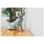 Светр для тварин Pet Fashion Tim М (4823082436019) - зменшене зображення 3