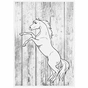 Альбом для малювання Brunnen А4 Ponylove 100л 70 г/м2 (10 474 07 742) - зменшене зображення 2