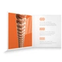 Струни для гітари D'Addario XS Phosphor Bronze Extra Light (10-47) (XSAPB1047) - зменшене зображення 4