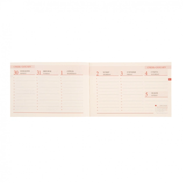 Еженедельник Leo planner датированный 2025 Cioccolato 10х15 см 128 страниц (252570) - изображение 5