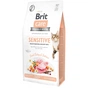 Сухий корм для кішок Brit Care Cat GF Sensitive HDigestion and Delicate Taste 7 кг (8595602540693) - зменшене зображення 1