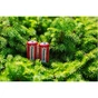 Батарейка Panasonic C R14 RED ZINK * 2 (R14REL/2BPR) - зменшене зображення 3