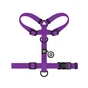 Шлея для собак WAUDOG Magnet анатомічна Н-подібна з QR-паспортом, магнітна пряжка-фастекс М фіолетова (26239) - зменшене зображення 3