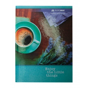 Канцелярская книга Buromax Romantic А4 в линейку 96 листов Бирюзовая (BM.2401-206) изображение 1