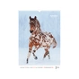 Календар Axent настінний А3 2026 р. Horses (8804-26-3-A) - уменьшенное изображение 3
