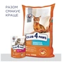 Сухий корм для кішок Club 4 Paws Преміум. Чутливе травлення 14 кг (4820083909399) - зменшене зображення 8