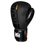 Боксерські рукавички Phantom Germany Black 14oz (PHBG2189-14) - зменшене зображення 3
