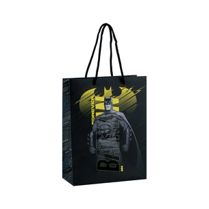 Подарунковий пакет Kite паперовий DC Comics 18х24 см (DC24-265) зображення 1