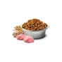 Сухий корм для собак Farmina Low Grain ADULT MINI з куркою та гранатом 7 кг (8010276035073) - зменшене зображення 2