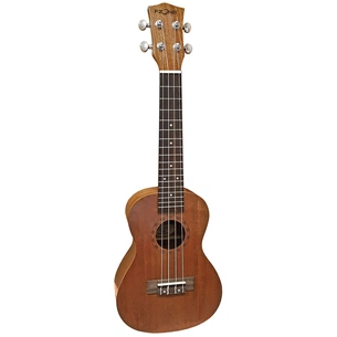 Укулеле Fzone FZU-110M Wood зображення 1