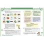 Підручник НУШ Німецька мова 8(8) клас - С.І. Сотникова, Г.В. Гоголєва Ранок (9786170995865) - зменшене зображення 4