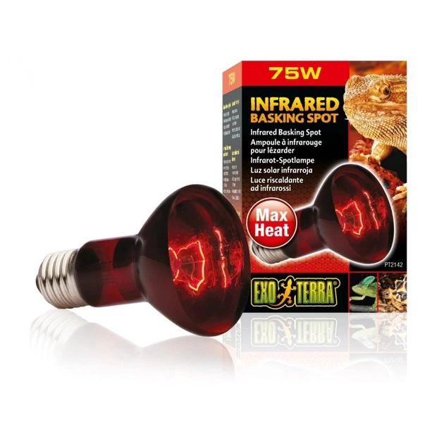 Светильник для террариума ExoTerra Infrared basking spot инфракрасная обогревающая R20/75 Вт (15561221429) - изображение 1
