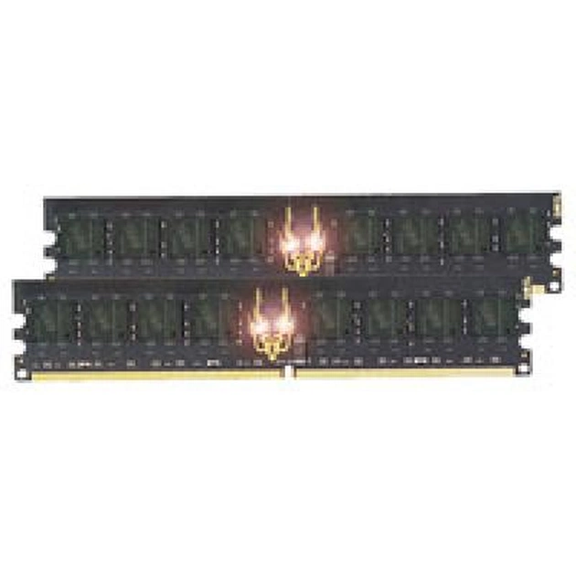 Модуль пам'яті для комп'ютера DDR2 4GB (2х2GB) 800 MHz Geil (GB24GB6400C4DC) - зображення 1